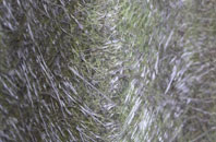 Tetchill fibreglass roof work